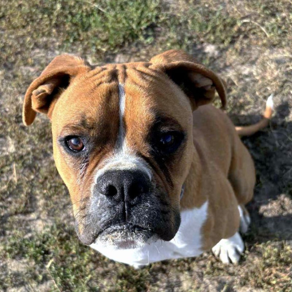 Poduszka 40x40 z haftem pupila ze zdjęcia